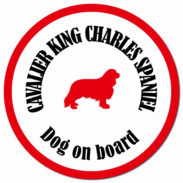 カラフル Dog on board キャバリアキングチャールズスパニエル ホワイト＆レッド マグネット 車用 直径13cm 丸型 カーマグネット