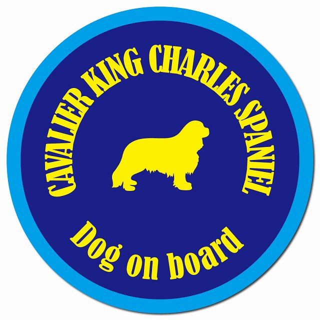 カラフル Dog on board キャバリアキングチャールズスパニエル ネイビー＆ブルー マグネット 車用 直径13cm 丸型 カーマグネット