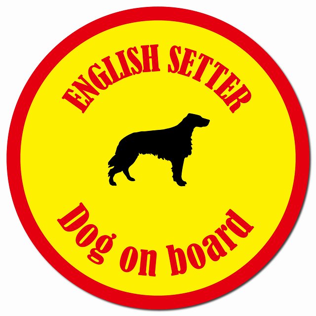 カラフル Dog on board イングリッシュセター イエロー＆レッド マグネット 車用 直径13cm 丸型 カーマグネット