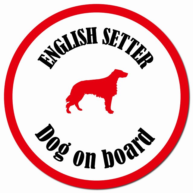 カラフル Dog on board イングリッシュセター ホワイト＆レッド マグネット 車用 直径13cm 丸型 カーマグネット