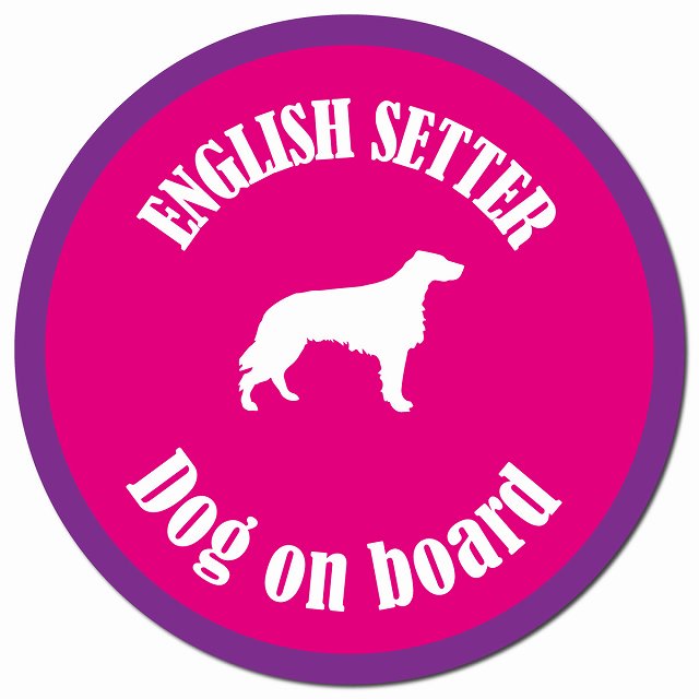 カラフル Dog on board イングリッシュセター ピンク＆パープル マグネット 車用 直径13cm 丸型 カーマグネット