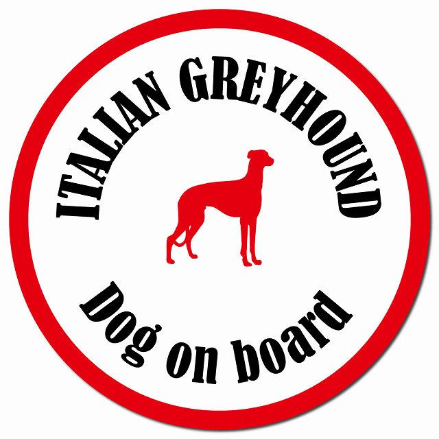 カラフル Dog on board イタリアングレーハウンド ホワイト＆レッド マグネット 車用 直径13cm 丸型 カーマグネット