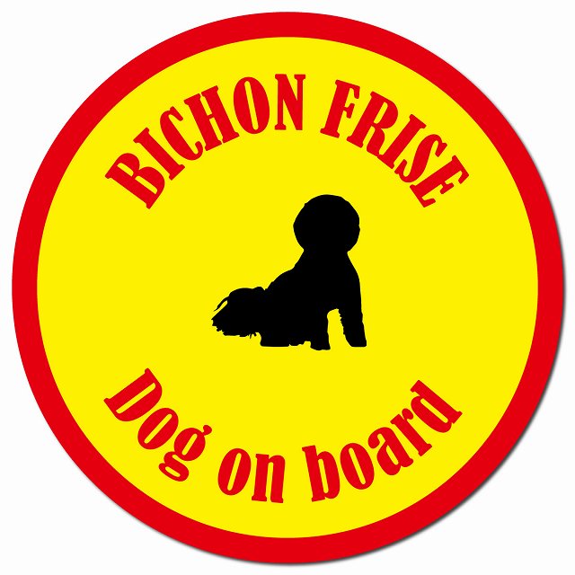 カラフル Dog on board ビションフリーゼ イエロー＆レッド マグネット 車用 直径13cm 丸型 カーマグネット