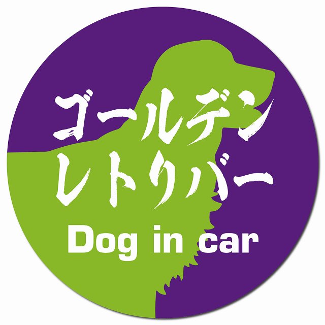 Dog in car ゴールデンレトリバー 毛筆書体 パープルグリーン マグネット 車用 直径13cm 丸型 カーマグネット 表示プレート