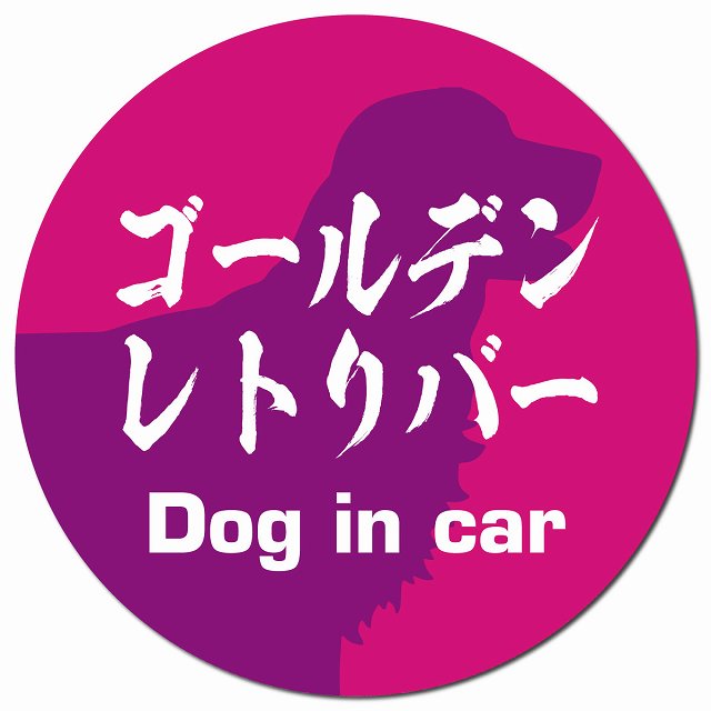 Dog in car ゴールデンレトリバー 毛筆書体 ピンクパープル マグネット 車用 直径13cm 丸型 カーマグネット 表示プレート