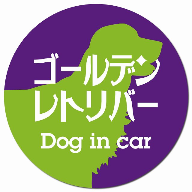 Dog in car ゴールデンレトリバー レトロ書体 パープルグリーン マグネット 車用 直径13cm 丸型 カーマグネット 表示プレート