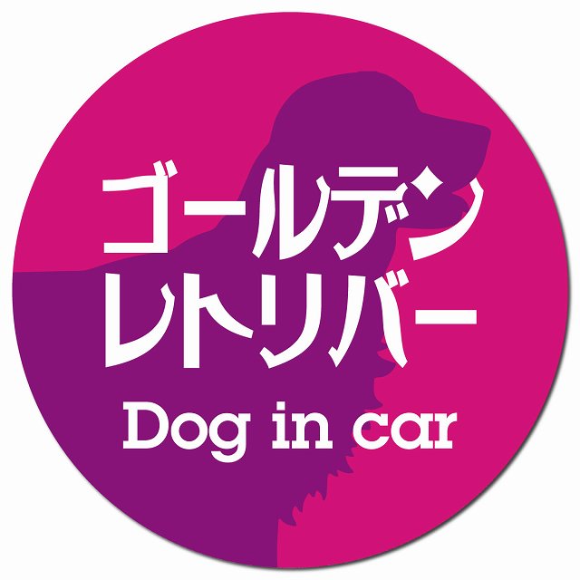 Dog in car ゴールデンレトリバー レトロ書体 ピンクパープル マグネット 車用 直径13cm 丸型 カーマグネット 表示プレート