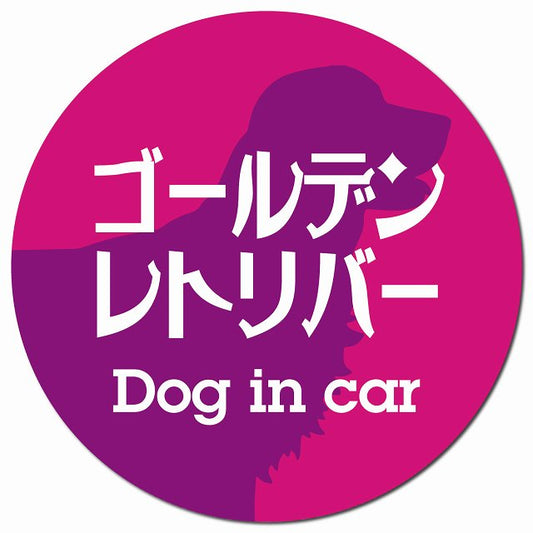 Dog in car ゴールデンレトリバー レトロ書体 ピンクパープル マグネット 車用 直径13cm 丸型 カーマグネット 表示プレート