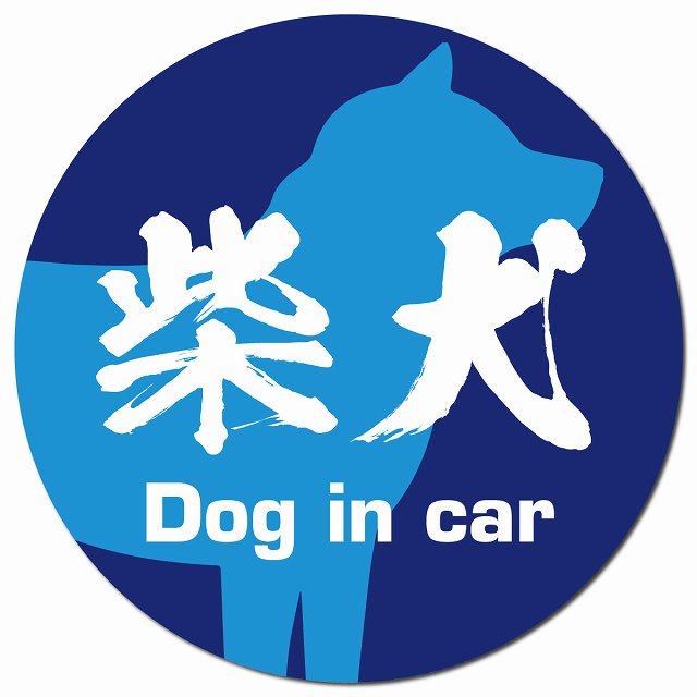 Dog in car 柴犬 毛筆書体 ブルー マグネット 車用 直径13cm 丸型 カーマグネット 表示プレート