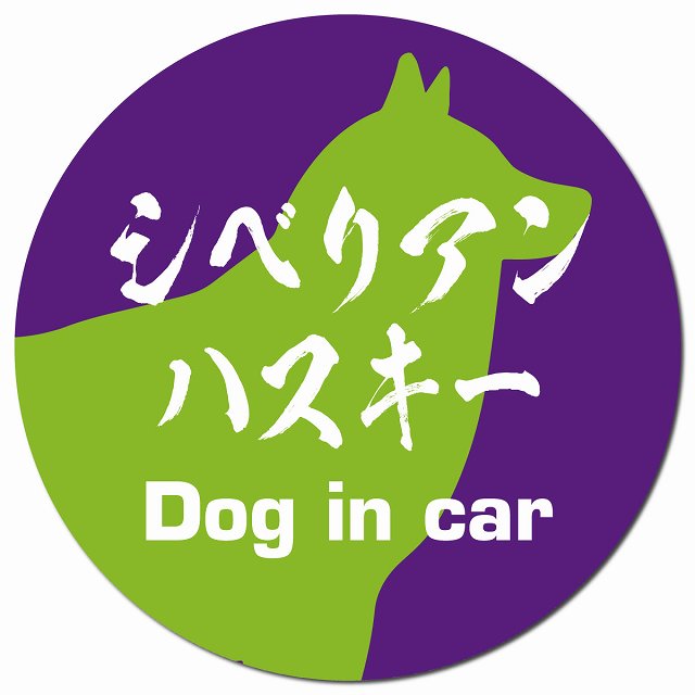 Dog in car シベリアンハスキー 毛筆書体 パープルグリーン マグネット 車用 直径13cm 丸型 カーマグネット 表示プレート