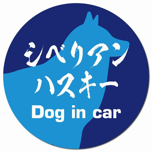 Dog in car シベリアンハスキー 毛筆書体 ブルー マグネット 車用 直径13cm 丸型 カーマグネット 表示プレート