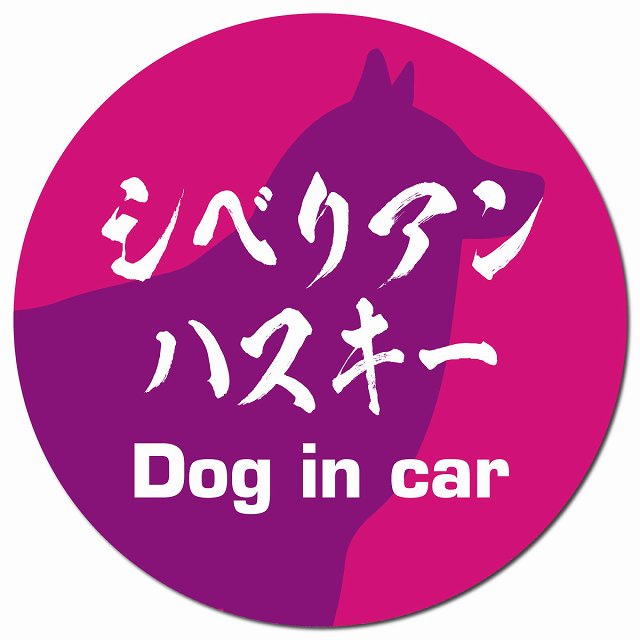 Dog in car シベリアンハスキー 毛筆書体 ピンクパープル マグネット 車用 直径13cm 丸型 カーマグネット 表示プレート