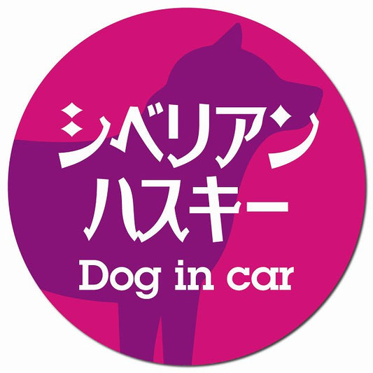Dog in car シベリアンハスキー レトロ書体 ピンクパープル マグネット 車用 直径13cm 丸型 カーマグネット 表示プレート