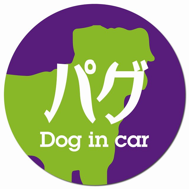 Dog in car パグ レトロ書体 パープルグリーン マグネット 車用 直径13cm 丸型 カーマグネット 表示プレート