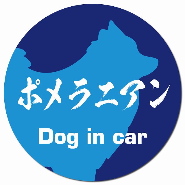 Dog in car ポメラニアン 毛筆書体 ブルー マグネット 車用 直径13cm 丸型 カーマグネット 表示プレート