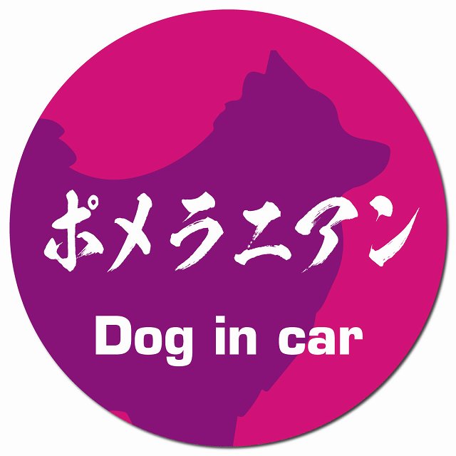 Dog in car ポメラニアン 毛筆書体 ピンクパープル マグネット 車用 直径13cm 丸型 カーマグネット 表示プレート