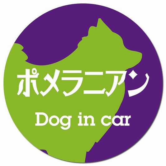 Dog in car ポメラニアン レトロ書体 パープルグリーン マグネット 車用 直径13cm 丸型 カーマグネット 表示プレート