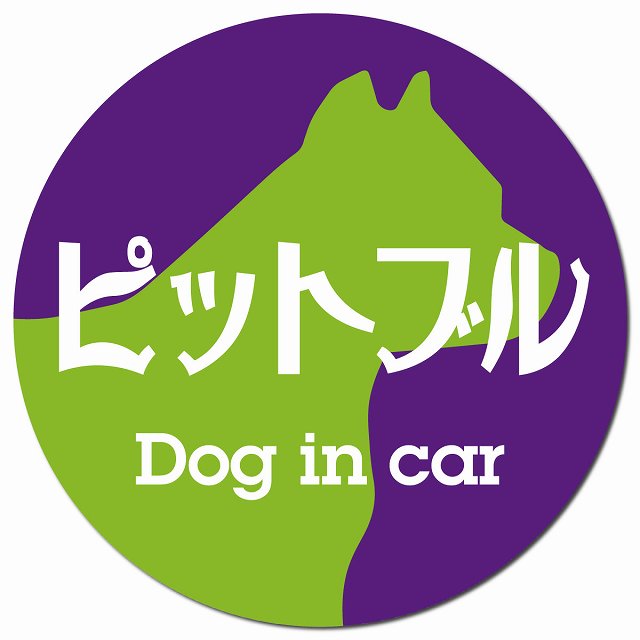 Dog in car ピットブル レトロ書体 パープルグリーン マグネット 車用 直径13cm 丸型 カーマグネット 表示プレート