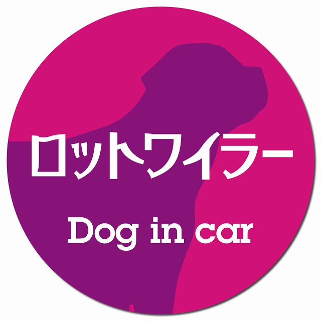Dog in car ロットワイラー レトロ書体 ピンクパープル マグネット 車用 直径13cm 丸型 カーマグネット 表示プレート