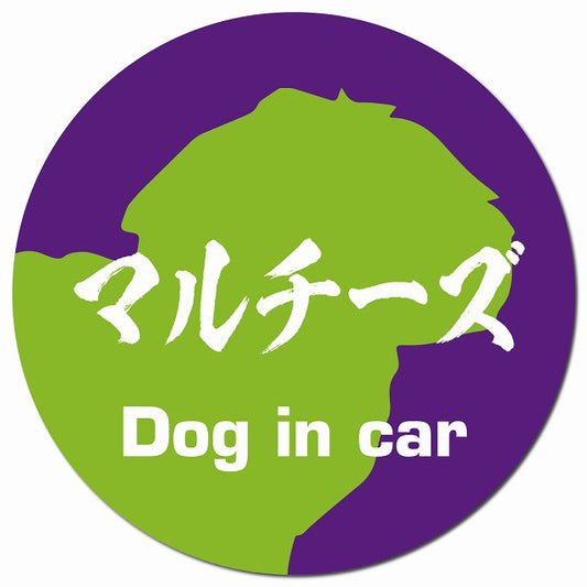 Dog in car マルチーズ 毛筆書体 パープルグリーン マグネット 車用 直径13cm 丸型 カーマグネット 表示プレート