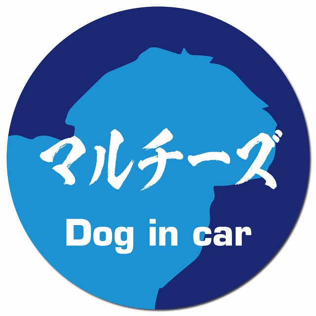 Dog in car マルチーズ 毛筆書体 ブルー マグネット 車用 直径13cm 丸型 カーマグネット 表示プレート