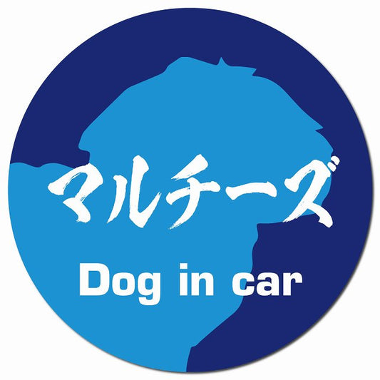 Dog in car マルチーズ 毛筆書体 ブルー マグネット 車用 直径13cm 丸型 カーマグネット 表示プレート