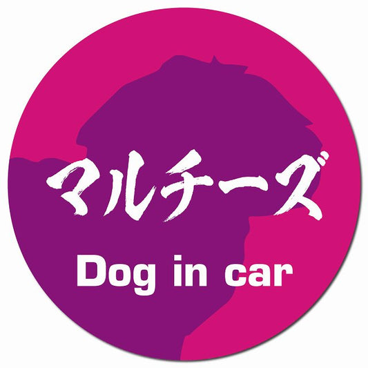 Dog in car マルチーズ 毛筆書体 ピンクパープル マグネット 車用 直径13cm 丸型 カーマグネット 表示プレート