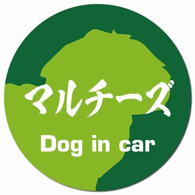 Dog in car マルチーズ 毛筆書体 グリーン マグネット 車用 直径13cm 丸型 カーマグネット 表示プレート