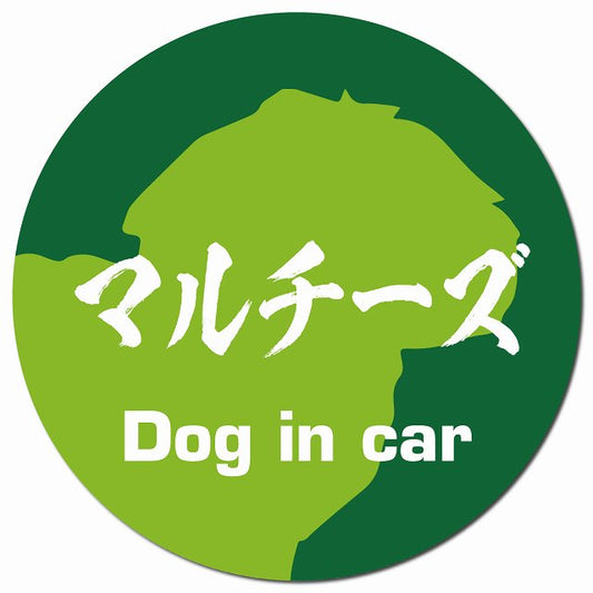 Dog in car マルチーズ 毛筆書体 グリーン マグネット 車用 直径13cm 丸型 カーマグネット 表示プレート