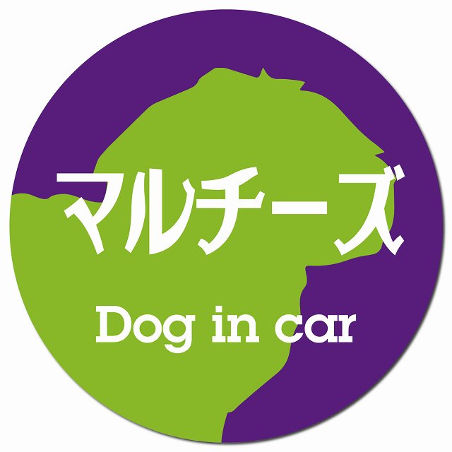 Dog in car マルチーズ レトロ書体 パープルグリーン マグネット 車用 直径13cm 丸型 カーマグネット 表示プレート