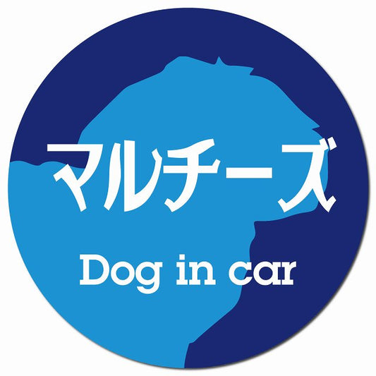 Dog in car マルチーズ レトロ書体 ブルー マグネット 車用 直径13cm 丸型 カーマグネット 表示プレート