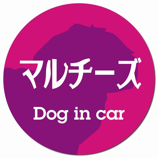 Dog in car マルチーズ レトロ書体 ピンクパープル マグネット 車用 直径13cm 丸型 カーマグネット 表示プレート