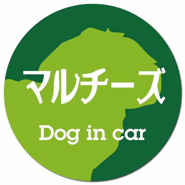 Dog in car マルチーズ レトロ書体 グリーン マグネット 車用 直径13cm 丸型 カーマグネット 表示プレート
