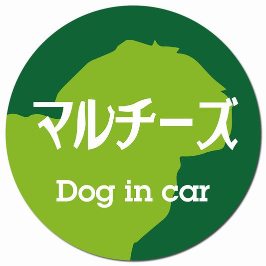 Dog in car マルチーズ レトロ書体 グリーン マグネット 車用 直径13cm 丸型 カーマグネット 表示プレート