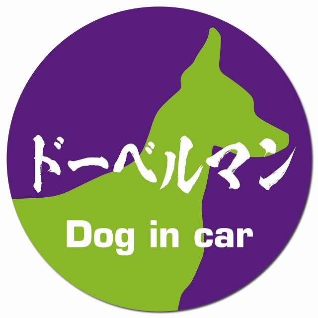 Dog in car ドーベルマン 毛筆書体 パープルグリーン マグネット 車用 直径13cm 丸型 カーマグネット 表示プレート