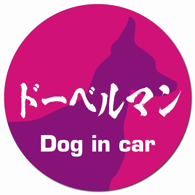 Dog in car ドーベルマン 毛筆書体 ピンクパープル マグネット 車用 直径13cm 丸型 カーマグネット 表示プレート
