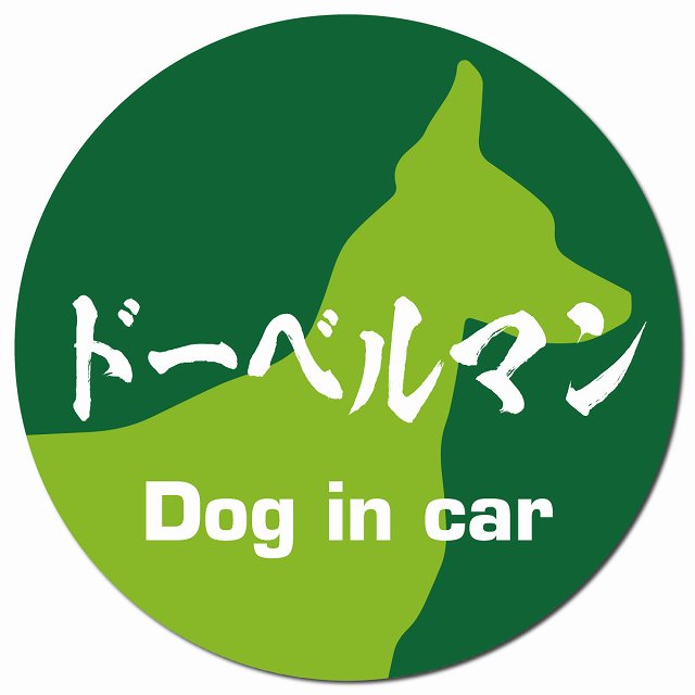 Dog in car ドーベルマン 毛筆書体 グリーン マグネット 車用 直径13cm 丸型 カーマグネット 表示プレート