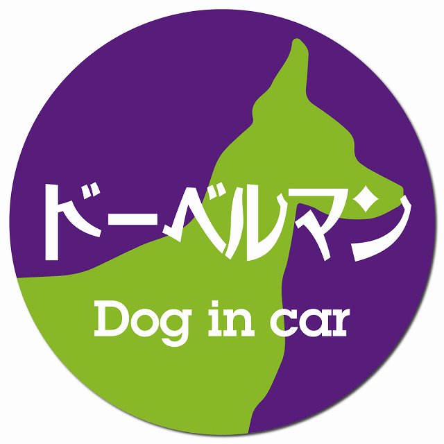 Dog in car ドーベルマン レトロ書体 パープルグリーン マグネット 車用 直径13cm 丸型 カーマグネット 表示プレート