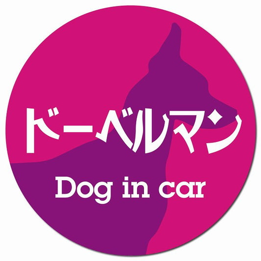 Dog in car ドーベルマン レトロ書体 ピンクパープル マグネット 車用 直径13cm 丸型 カーマグネット 表示プレート