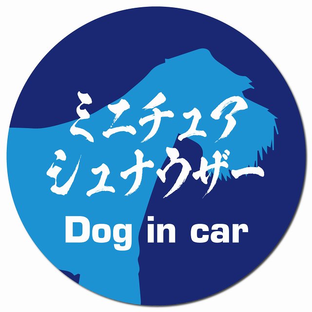 Dog in car ミニチュアシュナウザー 毛筆書体 ブルー マグネット 車用 直径13cm 丸型 カーマグネット 表示プレート