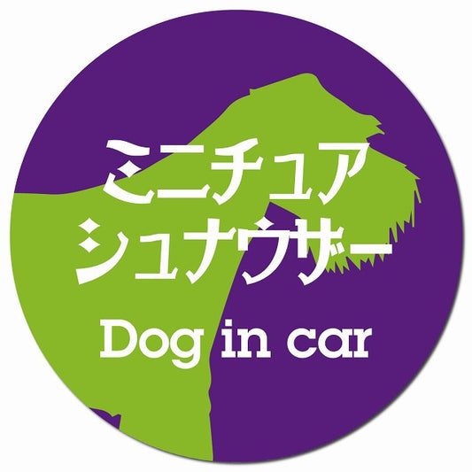 Dog in car ミニチュアシュナウザー レトロ書体 パープルグリーン マグネット 車用 直径13cm 丸型 カーマグネット 表示プレート