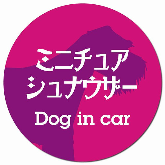 Dog in car ミニチュアシュナウザー レトロ書体 ピンクパープル マグネット 車用 直径13cm 丸型 カーマグネット 表示プレート