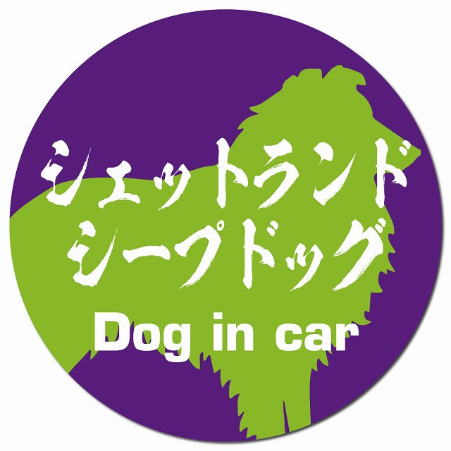 Dog in car シェットランドシープドッグ 毛筆書体 パープルグリーン マグネット 車用 直径13cm 丸型 カーマグネット 表示プレート