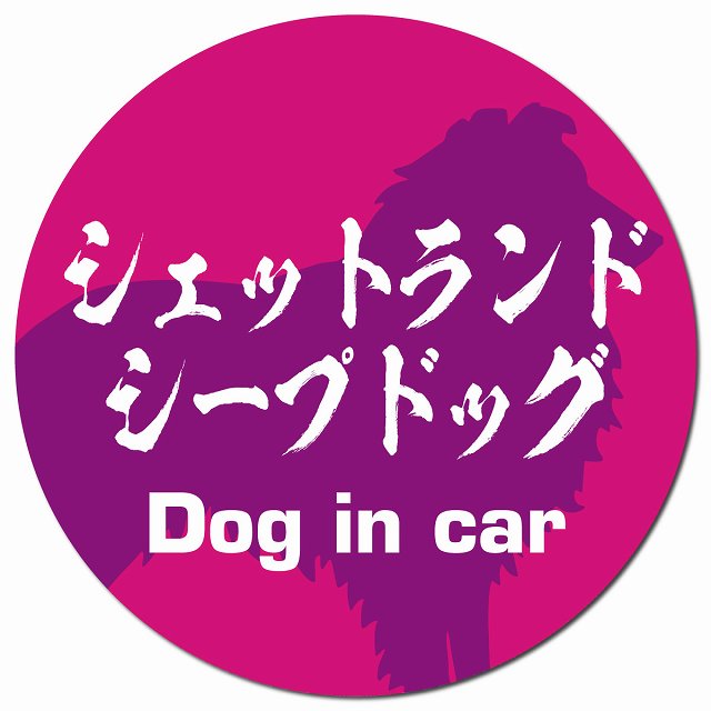 Dog in car シェットランドシープドッグ 毛筆書体 ピンクパープル マグネット 車用 直径13cm 丸型 カーマグネット 表示プレート