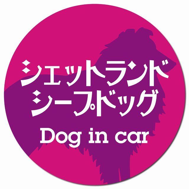 Dog in car シェットランドシープドッグ レトロ書体 ピンクパープル マグネット 車用 直径13cm 丸型 カーマグネット 表示プレート