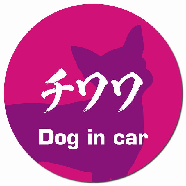 Dog in car チワワ 毛筆書体 ピンクパープル マグネット 車用 直径13cm 丸型 カーマグネット 表示プレート