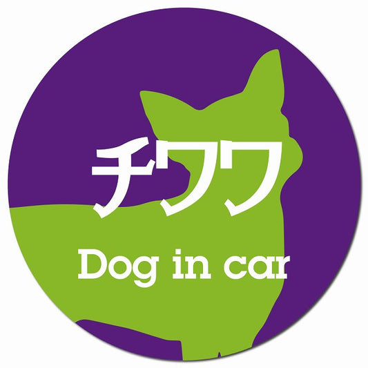 Dog in car チワワ レトロ書体 パープルグリーン マグネット 車用 直径13cm 丸型 カーマグネット 表示プレート
