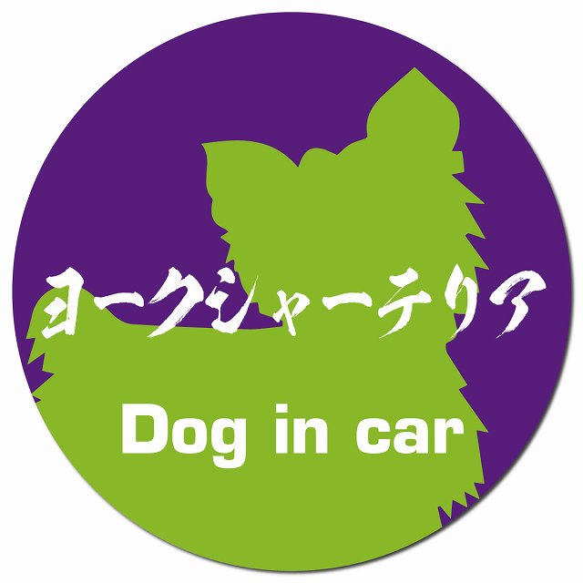 Dog in car ヨークシャーテリア 毛筆書体 パープルグリーン マグネット 車用 直径13cm 丸型 カーマグネット 表示プレート