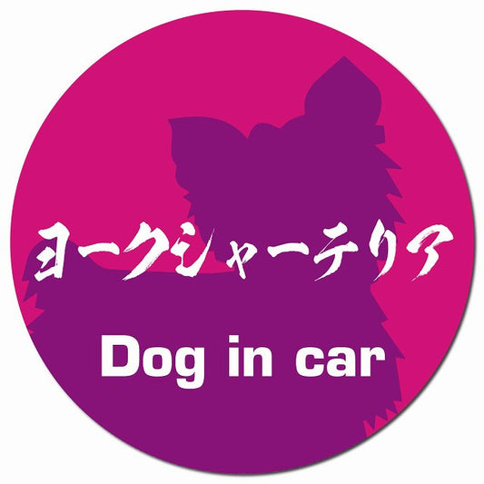 Dog in car ヨークシャーテリア 毛筆書体 ピンクパープル マグネット 車用 直径13cm 丸型 カーマグネット 表示プレート