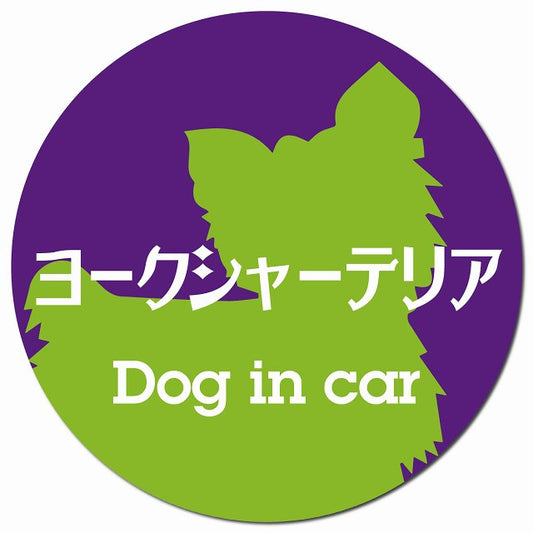 Dog in car ヨークシャーテリア レトロ書体 パープルグリーン マグネット 車用 直径13cm 丸型 カーマグネット 表示プレート